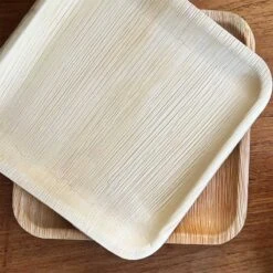 10 Assiettes Carrées Feuilles De Palmier 25 Cm