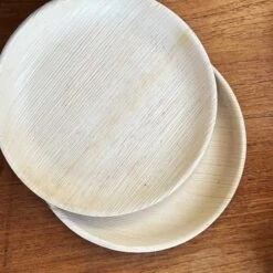 10 Assiettes Rondes Feuilles De Palmier 25 Cm