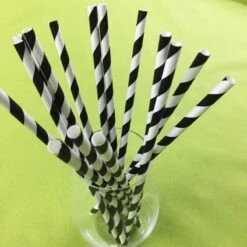 100 Pailles Papier Torsadées Noires Et Blanches 11 100 Pailles Papier Torsadées Noires Et Blanches -Vacances Vaisselle Magasin 100 pailles papier torsadees noires et blanches 1 3