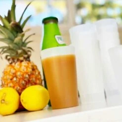 100 Verres Gobelets Ecocup Réutilisable Effet Givré 30 Cl -Vacances Vaisselle Magasin 100 verres gobelets ecocup reutilisable effet givre 30 cl 9