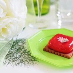 12 Assiettes Octogonales Vert Anis Vert 17,5 Cm -Vacances Vaisselle Magasin 12 assiettes octogonales vert anis vert 175cm lavables reutilisables 3