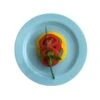12 Assiettes Rondes Bleu Pastel Luxe 19 Cm -Vacances Vaisselle Magasin 12 assiettes rondes bleu pastel 19 cm lavables reutilisables