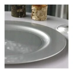 12 Assiettes Rondes Gris Argent Luxe 19 Cm -Vacances Vaisselle Magasin 12 assiettes rondes gris argent 19 cm lavables reutilisables 1 3