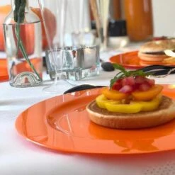 12 Assiettes Rondes Orange Luxe 24 Cm -Vacances Vaisselle Magasin 12 assiettes rondes orange 24cm lavables reutilisables 1 2