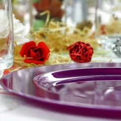 12 Assiettes Rondes Prune Pailleté Luxe 19 Cm -Vacances Vaisselle Magasin 12 assiettes rondes prune paillete 19 cm lavables reutilisables 3