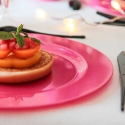 12 Assiettes Rondes Rose Magenta Luxe 24 Cm -Vacances Vaisselle Magasin 12 assiettes rondes rose magenta 24cm lavables reutilisables 1 1