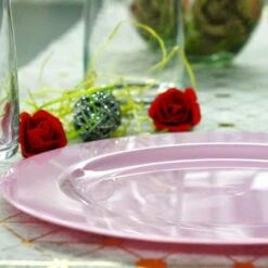 12 Assiettes Rondes Rose Pastel Luxe 19 Cm -Vacances Vaisselle Magasin 12 assiettes rondes rose pastel 19 cm lavables reutilisables 2