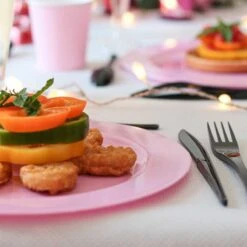 12 Assiettes Rondes Rose Pastel Luxe 24 Cm -Vacances Vaisselle Magasin 12 assiettes rondes rose pastel 24cm lavables reutilisables 1 2