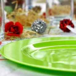 12 Assiettes Rondes Vert Anis Luxe 19 Cm -Vacances Vaisselle Magasin 12 assiettes rondes vert anis 19 cm lavables reutilisables 3