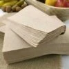 1200 Serviettes 33 Cm X 33 Cm Kraft Ouate 2 Plis -Vacances Vaisselle Magasin 1200 serviettes 33cmx33cm kraft ouate 2 plis