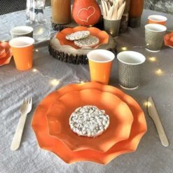 20 Assiettes Pétales 21 Cm Oranges 10 20 Assiettes Pétales 21 Cm Oranges -Vacances Vaisselle Magasin 20 assiettes petale 21cm orange biodegradables et compostables 3
