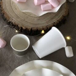 20 Gobelets Blancs 25 Cl -Vacances Vaisselle Magasin 20 gobelets blancs 25cl biodegradables et compostables 2