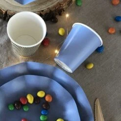 20 Gobelets Bleus 25 Cl -Vacances Vaisselle Magasin 20 gobelets bleus 25cl biodegradables et compostables 2