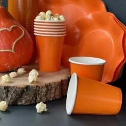 20 Gobelets Orange 25 Cl -Vacances Vaisselle Magasin 20 gobelets orange 25cl biodegradables et compostables 3