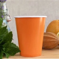 20 Gobelets Orange 25 Cl -Vacances Vaisselle Magasin 20 gobelets orange 25cl biodegradables et compostables 4