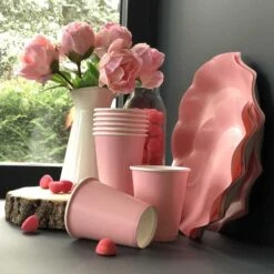 20 Gobelets Roses 25 Cl -Vacances Vaisselle Magasin 20 gobelets roses 25cl biodegradables et compostables 2