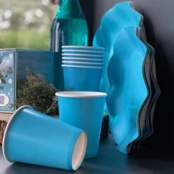 20 Gobelets Turquoise 25 Cl -Vacances Vaisselle Magasin 20 gobelets turquoise 25cl biodegradables et compostables 3