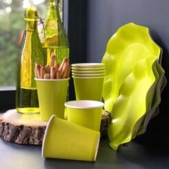 20 Gobelets Verts 25 Cl -Vacances Vaisselle Magasin 20 gobelets verts 25cl biodegradables et compostables 2