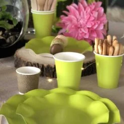 20 Gobelets Verts 25 Cl -Vacances Vaisselle Magasin 20 gobelets verts 25cl biodegradables et compostables 3