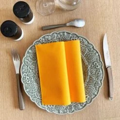 20 Serviettes Non-tissées Orangepremium 40 Cm Table'Colors 9 20 Serviettes Non-tissées Orangepremium 40 Cm Table'Colors -Vacances Vaisselle Magasin 20 serviettes non tissees orange premium 40 cm table colors 2