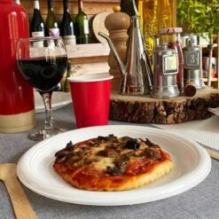 25 Assiettes Chaleur Plates 21 Cm 10 25 Assiettes Chaleur Plates 21 Cm -Vacances Vaisselle Magasin 25 assiettes chaleur plate 21cm 1