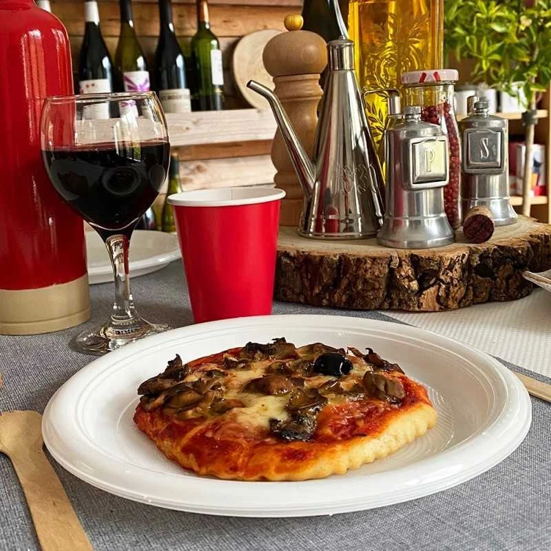 25 Assiettes Chaleur Plates 21 Cm 4 25 Assiettes Chaleur Plates 21 Cm – Image 2