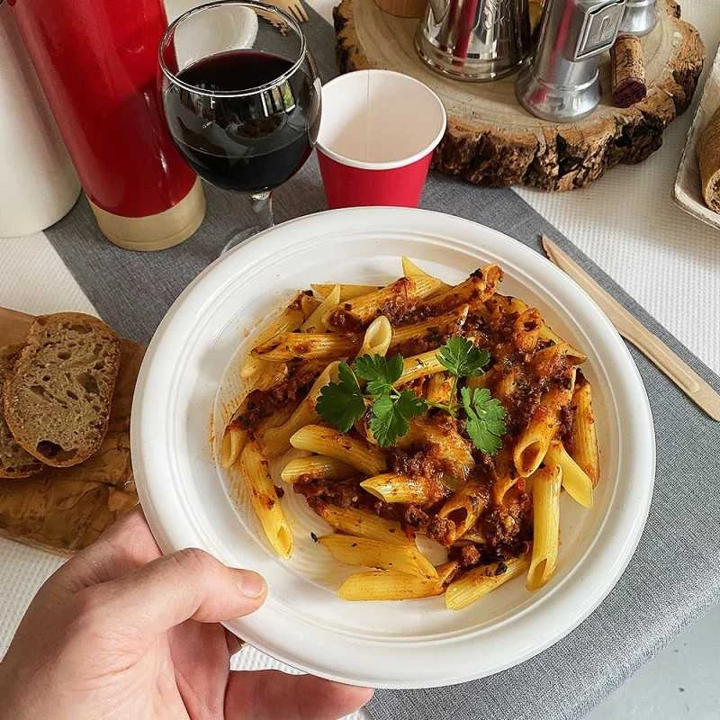 25 Assiettes Chaleur Plates 21 Cm 6 25 Assiettes Chaleur Plates 21 Cm – Image 4