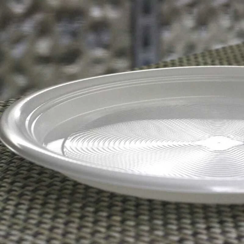 25 Assiettes Chaleur Plates 21 Cm 9 25 Assiettes Chaleur Plates 21 Cm – Image 7