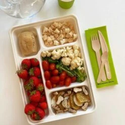 25 Plateaux Repas 5 Cases Nature 23,5 X 32 -Vacances Vaisselle Magasin 25 plateaux repas 5 cases biodegradables compostables 2