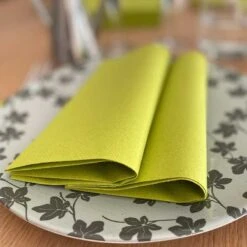 25 Serviettes Non-tissées Kiwi Premium 40 Cm Table'Colors -Vacances Vaisselle Magasin 25 serviettes non tisse luxe kiwi 40 x 40cm 2