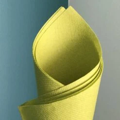 25 Serviettes Non-tissées Kiwi Premium 40 Cm Table'Colors