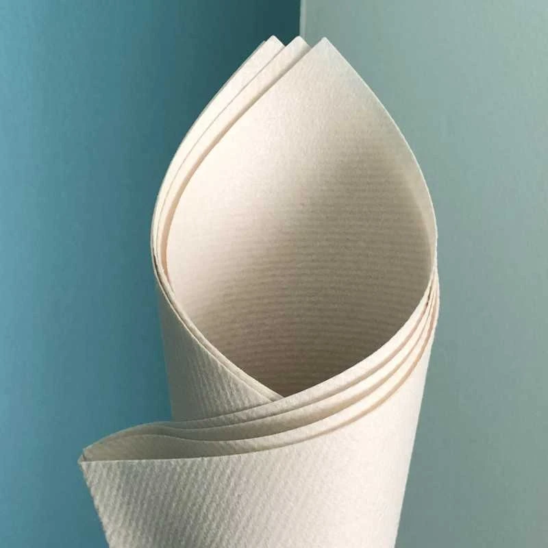 25 Serviettes Non-tissées Pebble Stone Premium 40 Cm Table'Colors 3 25 Serviettes Non-tissées Pebble Stone Premium 40 Cm Table'Colors