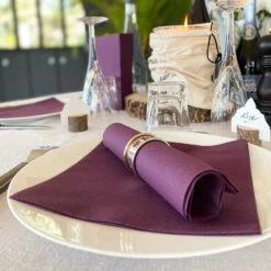 25 Serviettes Non-tissées Prune Premium 40 Cm Table'Colors 10 25 Serviettes Non-tissées Prune Premium 40 Cm Table'Colors -Vacances Vaisselle Magasin 25 serviettes non tisse luxe prune 40 x 40cm 3