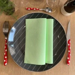 25 Serviettes Non-tissées Mint Premium 40 Cm Table'Colors -Vacances Vaisselle Magasin 25 serviettes non tisse luxe vert menthe 40 x 40cm 2