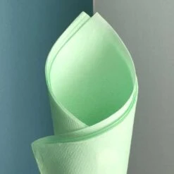 25 Serviettes Non-tissées Mint Premium 40 Cm Table'Colors