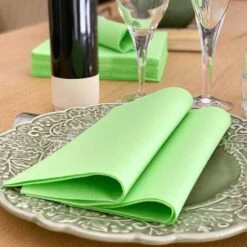 25 Serviettes Non-tissées Vert Pomme Premium 40 Cm Table'Colors -Vacances Vaisselle Magasin 25 serviettes non tisse luxe vert pomme 40 x 40cm 2