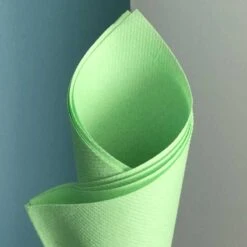 25 Serviettes Non-tissées Vert Pomme Premium 40 Cm Table'Colors