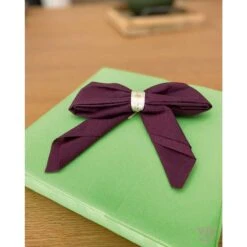 25 Serviettes Non-tissées Vert Pomme Premium 40 Cm Table'Colors -Vacances Vaisselle Magasin 25 serviettes non tisse luxe vert pomme 40 x 40cm 5