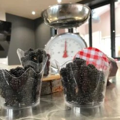 25 Verrine Orchidée 9 Cl 15 25 Verrine Orchidée 9 Cl -Vacances Vaisselle Magasin 25 verrine orchidee 9 cl recyclable reutilisable 4