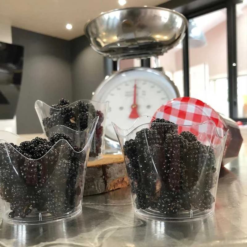 25 Verrine Orchidée 9 Cl 7 25 Verrine Orchidée 9 Cl – Image 5