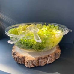 3 Saladiers Réutilisables 4,5 L -Vacances Vaisselle Magasin 3 saladiers 45 litres recyclables reutilisables 1