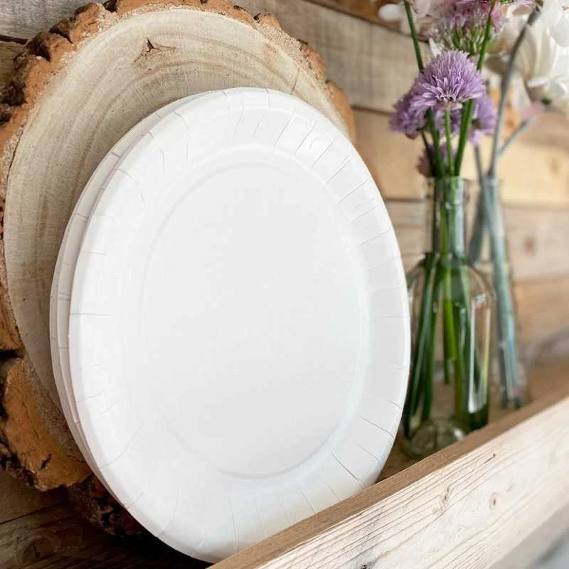 50 Assiettes Carton Blanc 18 Cm 5 50 Assiettes Carton Blanc 18 Cm – Image 3