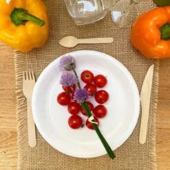 50 Assiettes Carton Blanc 22 Cm -Vacances Vaisselle Magasin 50 assiettes carton blanc biodegradables 22 cm 1