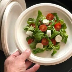 50 Assiettes Rondes 23 Cm -Vacances Vaisselle Magasin 50 assiettes rondes 23cm biodegradables et compostables 4