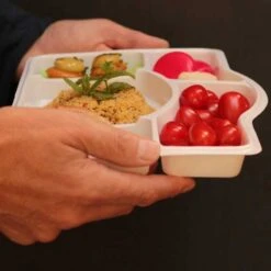 50 Plateaux Repas 5 Cases 11 50 Plateaux Repas 5 Cases -Vacances Vaisselle Magasin 50 plateaux repas 5 cases recyclables reutilisables 1