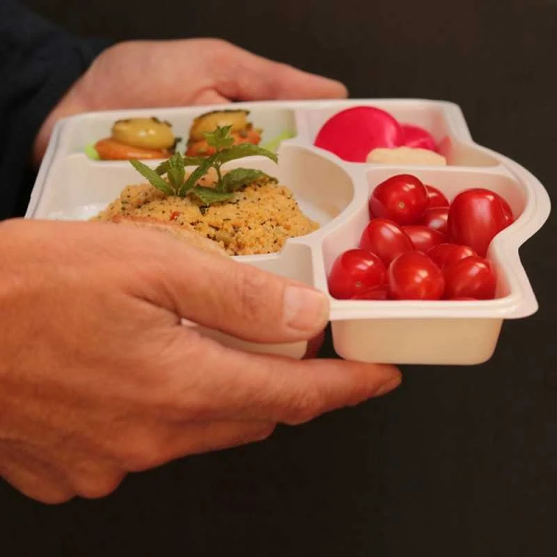 50 Plateaux Repas 5 Cases 4 50 Plateaux Repas 5 Cases – Image 2