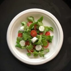 500 Assiettes Rondes Fibres Naturelles 23 Cm -Vacances Vaisselle Magasin 500 assiettes rondes 23 cm fibre biodegradable blanches 2