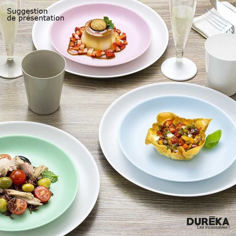 6 Assiettes Duréka Pastel Roses 27,4 Cm 5 6 Assiettes Duréka Pastel Roses 27,4 Cm – Image 3