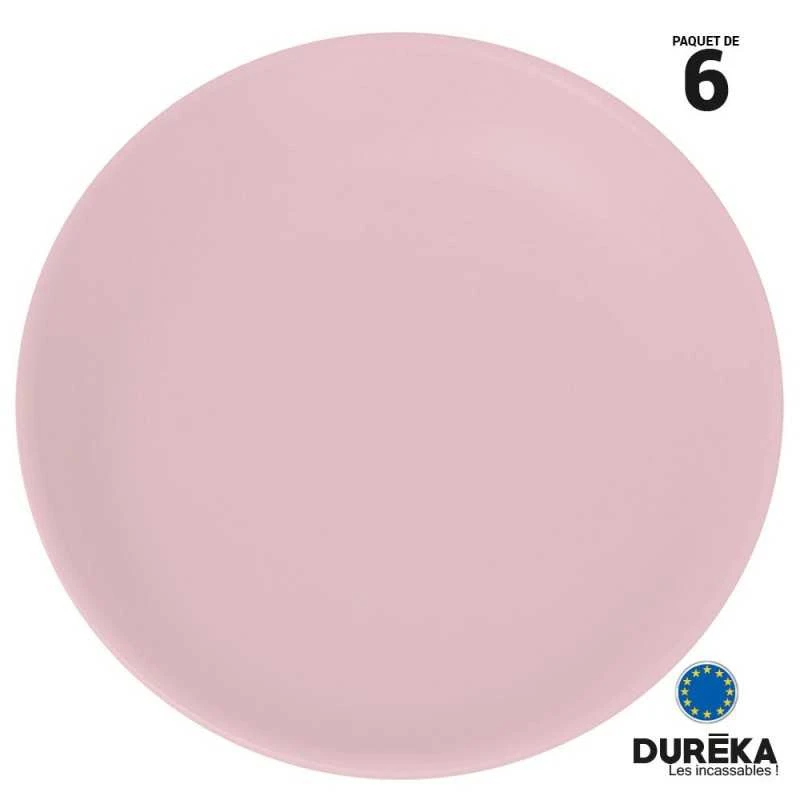 6 Assiettes Duréka Pastel Roses 27,4 Cm 3 6 Assiettes Duréka Pastel Roses 27,4 Cm