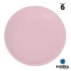 6 Petites Assiettes Duréka Pastel Rose 20,8 Cm -Vacances Vaisselle Magasin 6 petites assiettes dureka pastel rose incassable reutilisable 208 cm
